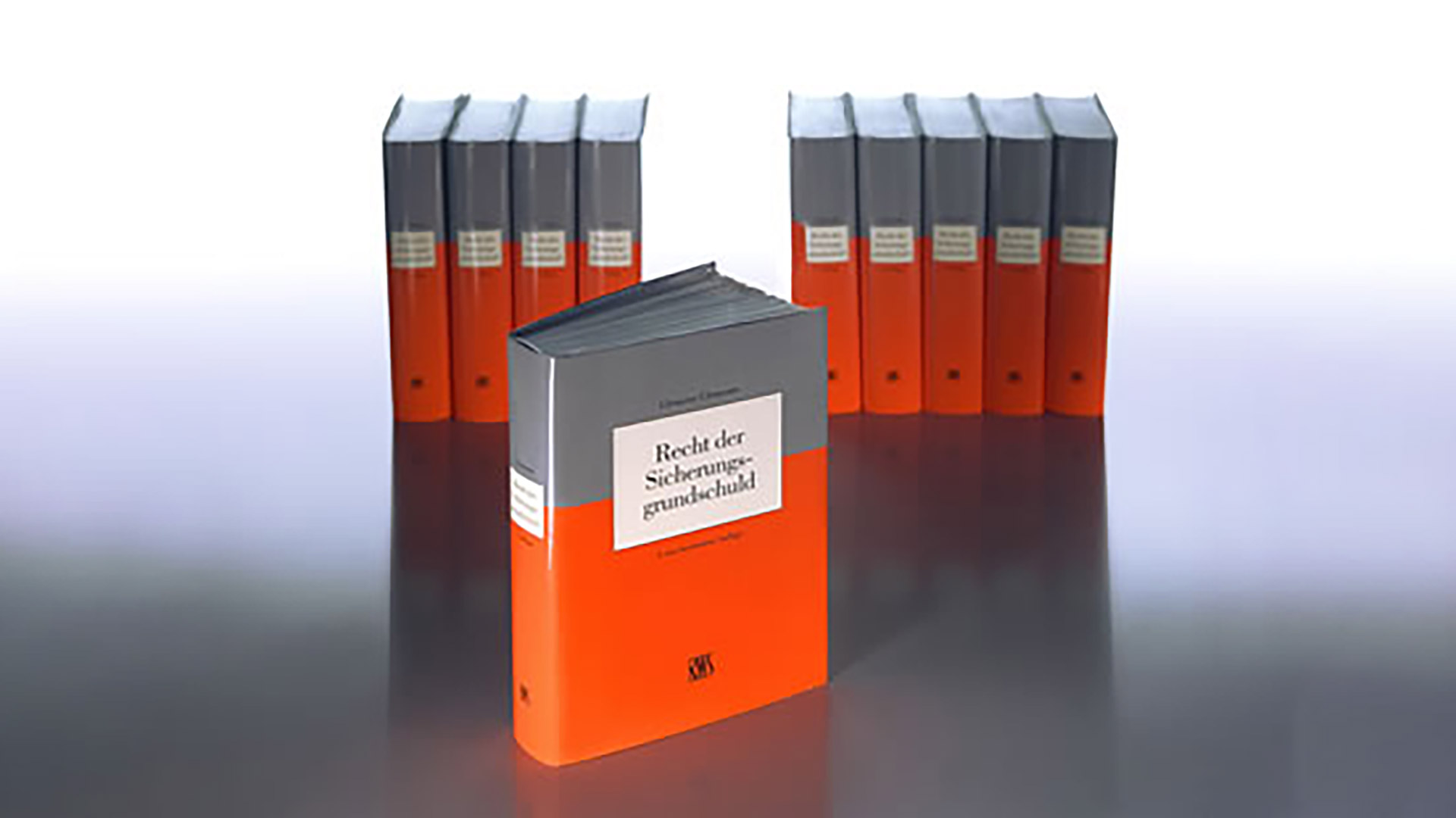 Buch Recht der Sicherungsgrundschuld